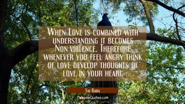 When Love is combined with understanding it becomes Non-violence. Therefore whenever you feel angry Sai Baba Quotes