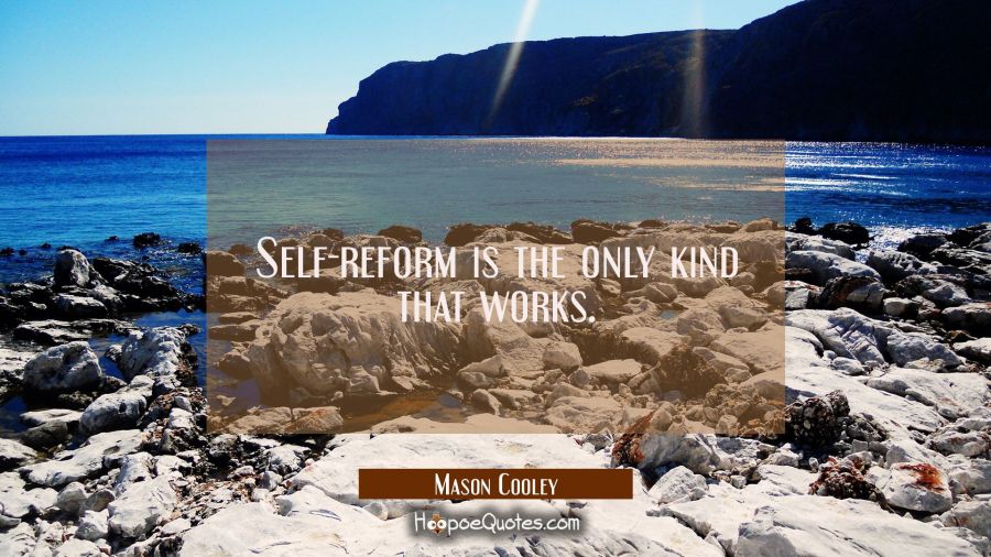 Self-reform is the only kind that works. Mason Cooley Quotes