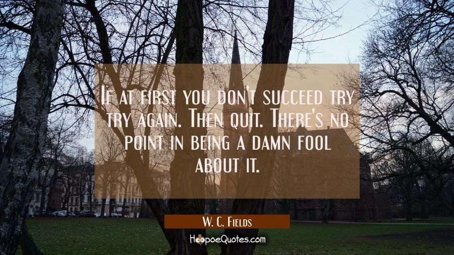 If at first you don't succeed try try again. Then quit. There's no point in being a damn fool about W. C. Fields Quotes