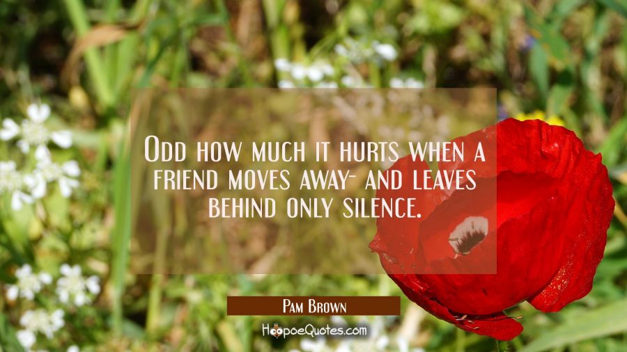 Odd how much it hurts when a friend moves away- and leaves behind only silence. Pam Brown Quotes