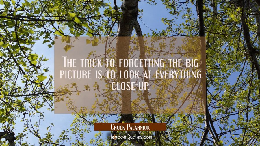 The trick to forgetting the big picture is to look at everything close-up. Chuck Palahniuk Quotes