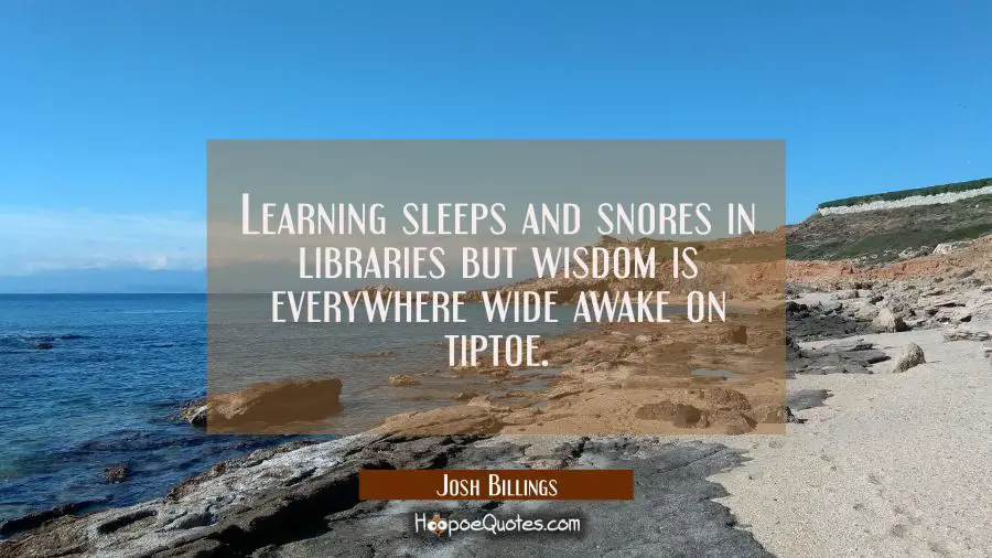 Learning sleeps and snores in libraries but wisdom is everywhere wide awake on tiptoe. Josh Billings Quotes