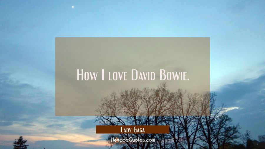 How I love David Bowie. Lady Gaga Quotes