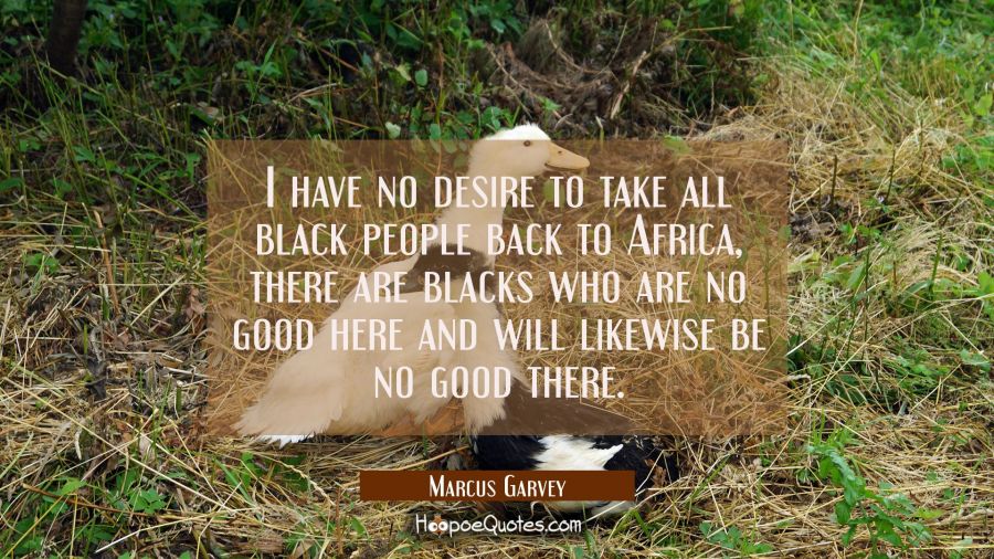 I have no desire to take all black people back to Africa, there are blacks who are no good here and Marcus Garvey Quotes