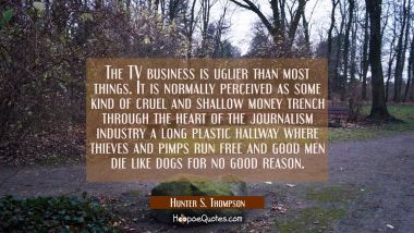 The TV business is uglier than most things. It is normally perceived as some kind of cruel and shal