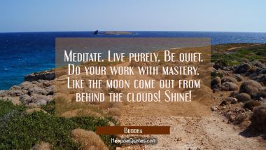 Meditate. Live purely. Be quiet. Do your work with mastery. Like the moon come out from behind the
