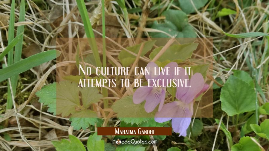 No culture can live if it attempts to be exclusive. Mahatma Gandhi Quotes