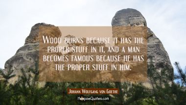 Wood burns because it has the proper stuff in it, and a man becomes famous because he has the prope