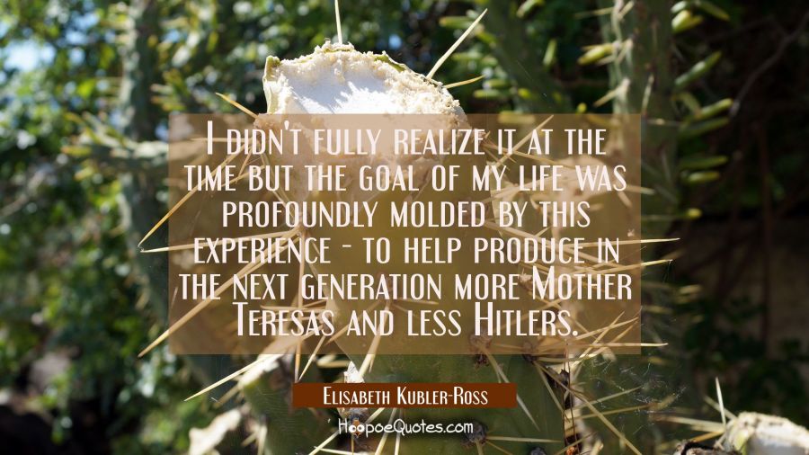 I didn't fully realize it at the time but the goal of my life was profoundly molded by this experie Elisabeth Kubler-Ross Quotes