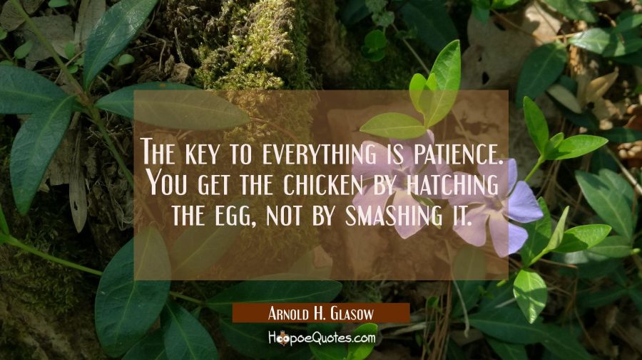The key to everything is patience. You get the chicken by hatching the egg not by smashing it. Arnold H. Glasow Quotes