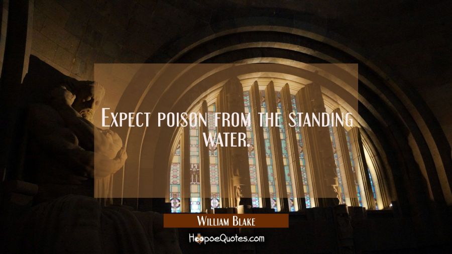 Expect poison from the standing water. William Blake Quotes