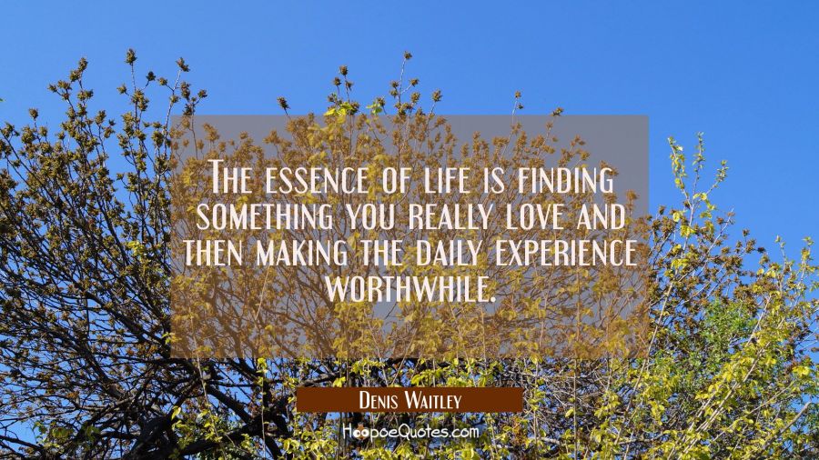 The essence of life is finding something you really love and then making the daily experience worth Denis Waitley Quotes