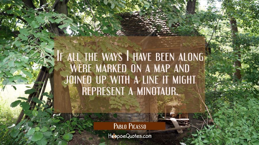 If all the ways I have been along were marked on a map and joined up with a line it might represent Pablo Picasso Quotes
