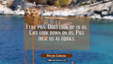 I like pigs. Dogs look up to us. Cats look down on us. Pigs treat us as equals. Winston Churchill Quotes