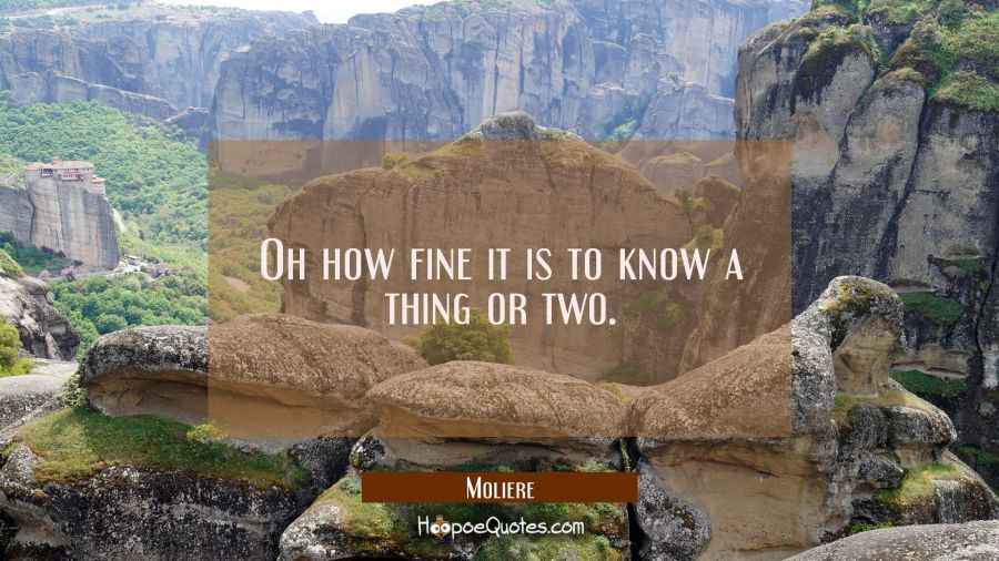 Oh how fine it is to know a thing or two. Moliere Quotes