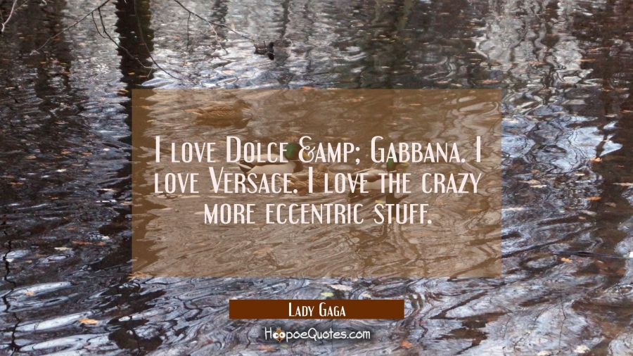 I love Dolce &amp; Gabbana. I love Versace. I love the crazy more eccentric stuff. Lady Gaga Quotes
