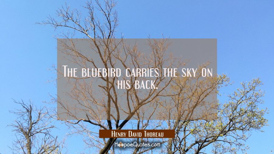 The bluebird carries the sky on his back. Henry David Thoreau Quotes