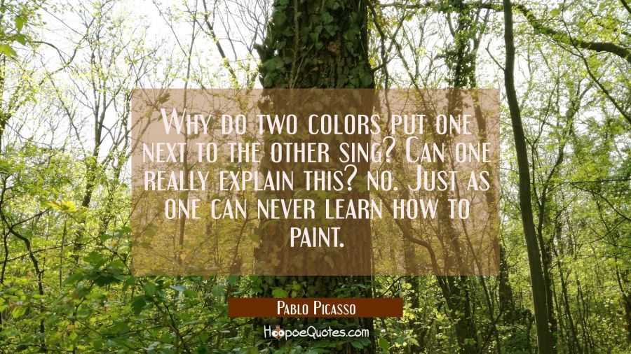 Why do two colors put one next to the other sing? Can one really explain this? no. Just as one can  Pablo Picasso Quotes