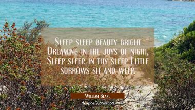 Sleep sleep beauty bright Dreaming in the joys of night, Sleep sleep, in thy sleep Little sorrows s William Blake Quotes
