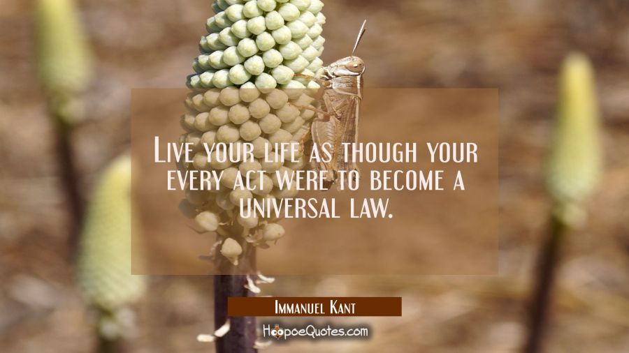 Live your life as though your every act were to become a universal law. Immanuel Kant Quotes