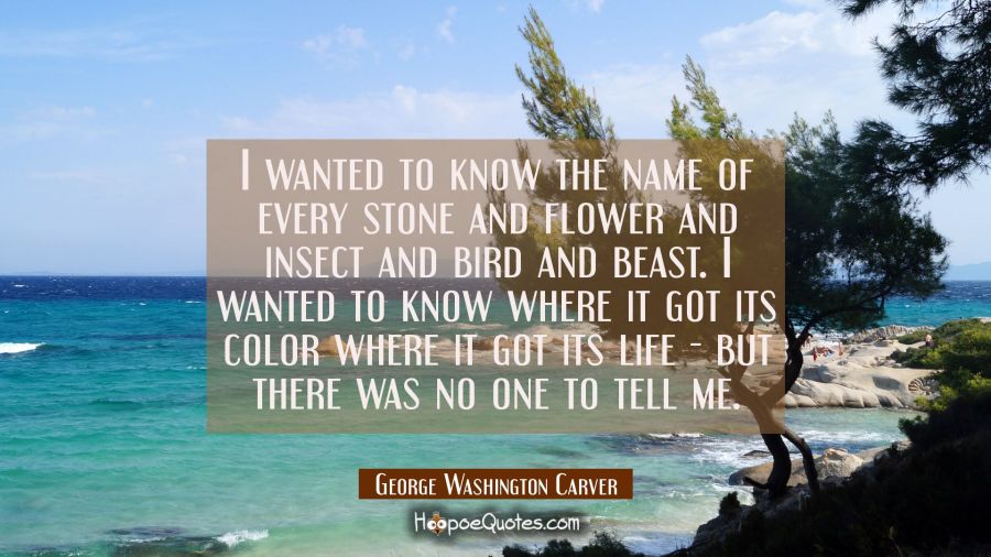 I wanted to know the name of every stone and flower and insect and bird and beast. I wanted to know George Washington Carver Quotes