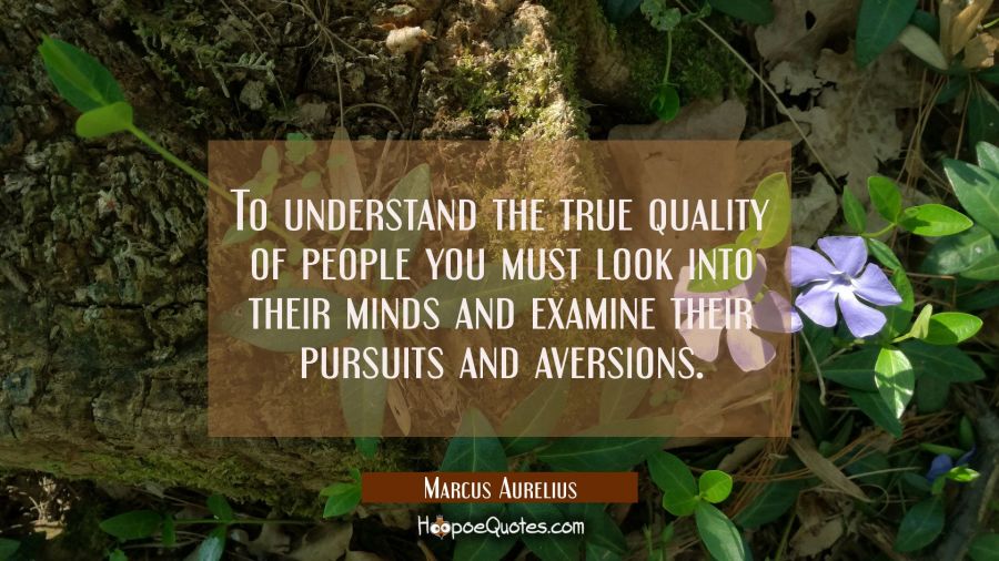 To understand the true quality of people you must look into their minds and examine their pursuits  Marcus Aurelius Quotes
