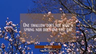One swallow does not make a spring nor does one fine day