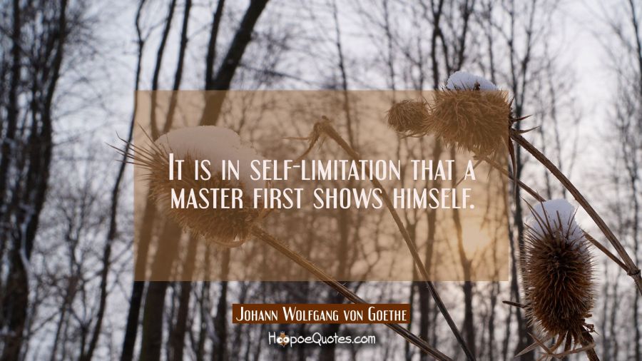 It is in self-limitation that a master first shows himself. Johann Wolfgang von Goethe Quotes