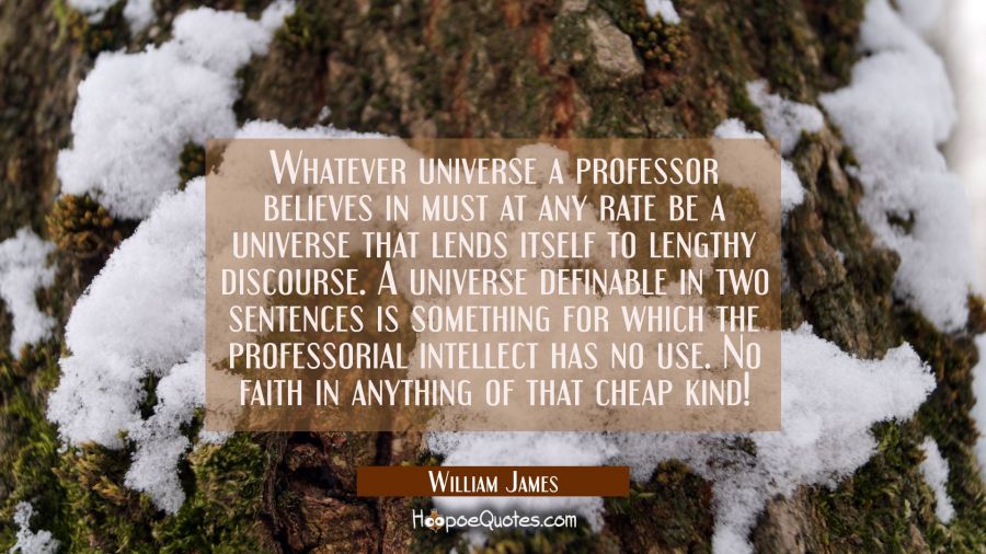 Whatever universe a professor believes in must at any rate be a universe that lends itself to lengt William James Quotes