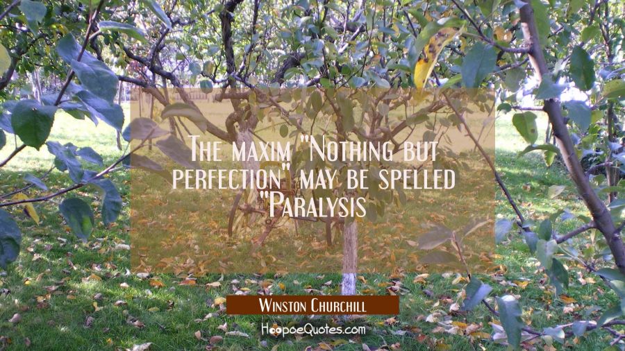 The maxim "Nothing but perfection" may be spelled "Paralysis Winston Churchill Quotes