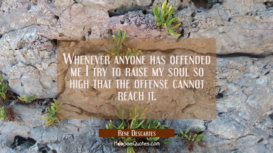 Whenever anyone has offended me I try to raise my soul so high that the offense cannot reach it. Rene Descartes Quotes