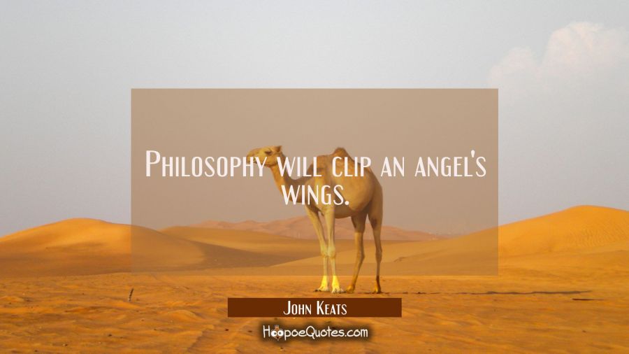 Philosophy will clip an angel&#039;s wings. John Keats Quotes