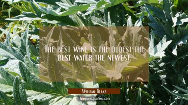 The best wine is the oldest the best water the newest.