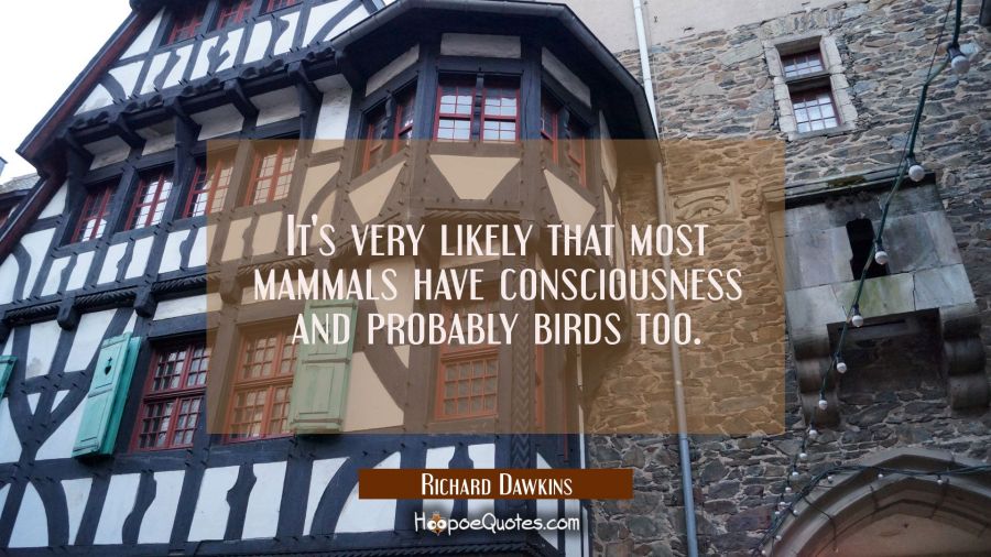 It's very likely that most mammals have consciousness and probably birds too. Richard Dawkins Quotes