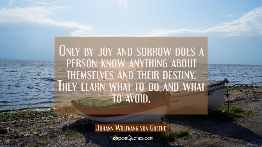 Only by joy and sorrow does a person know anything about themselves and their destiny. They learn w Johann Wolfgang von Goethe Quotes