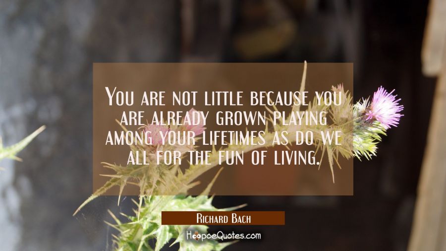 You are not little because you are already grown playing among your lifetimes as do we all for the  Richard Bach Quotes