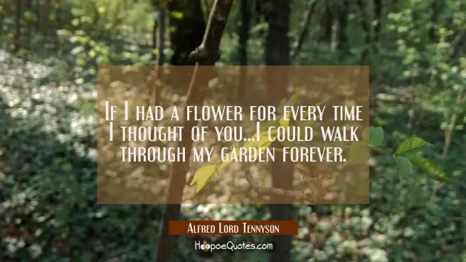 If I had a flower for every time I thought of you...I could walk through my garden forever.