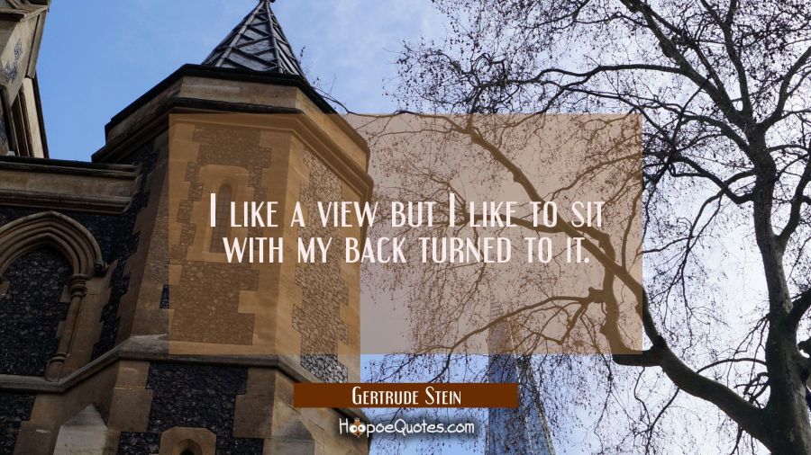 I like a view but I like to sit with my back turned to it. Gertrude Stein Quotes