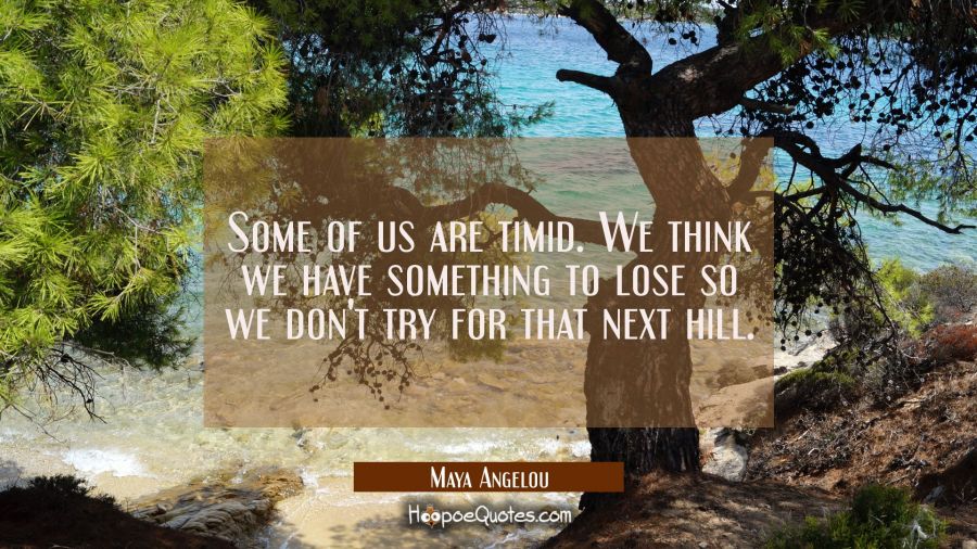 Some of us are timid. We think we have something to lose so we don't try for that next hill. Maya Angelou Quotes