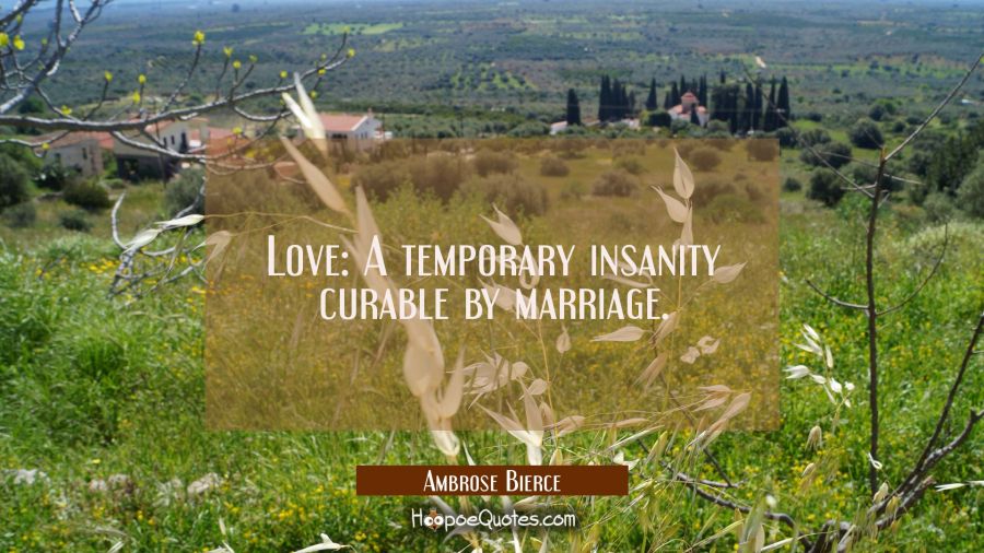 Love: A temporary insanity curable by marriage. Ambrose Bierce Quotes