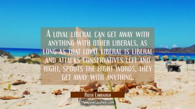 A loyal liberal can get away with anything with other liberals as long as that loyal liberal is lib