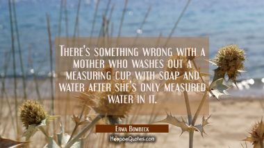 There&#039;s something wrong with a mother who washes out a measuring cup with soap and water after she&#039; Erma Bombeck Quotes
