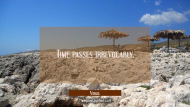 Time passes irrevocably. Virgil Quotes
