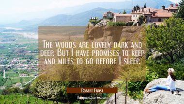 The woods are lovely dark and deep. But I have promises to keep and miles to go before I sleep.