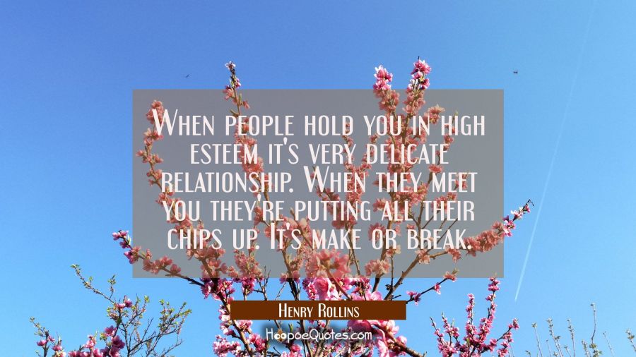 When people hold you in high esteem it's very delicate relationship. When they meet you they're put Henry Rollins Quotes