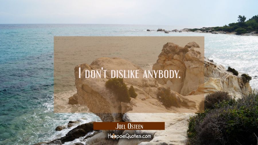 I don't dislike anybody. Joel Osteen Quotes
