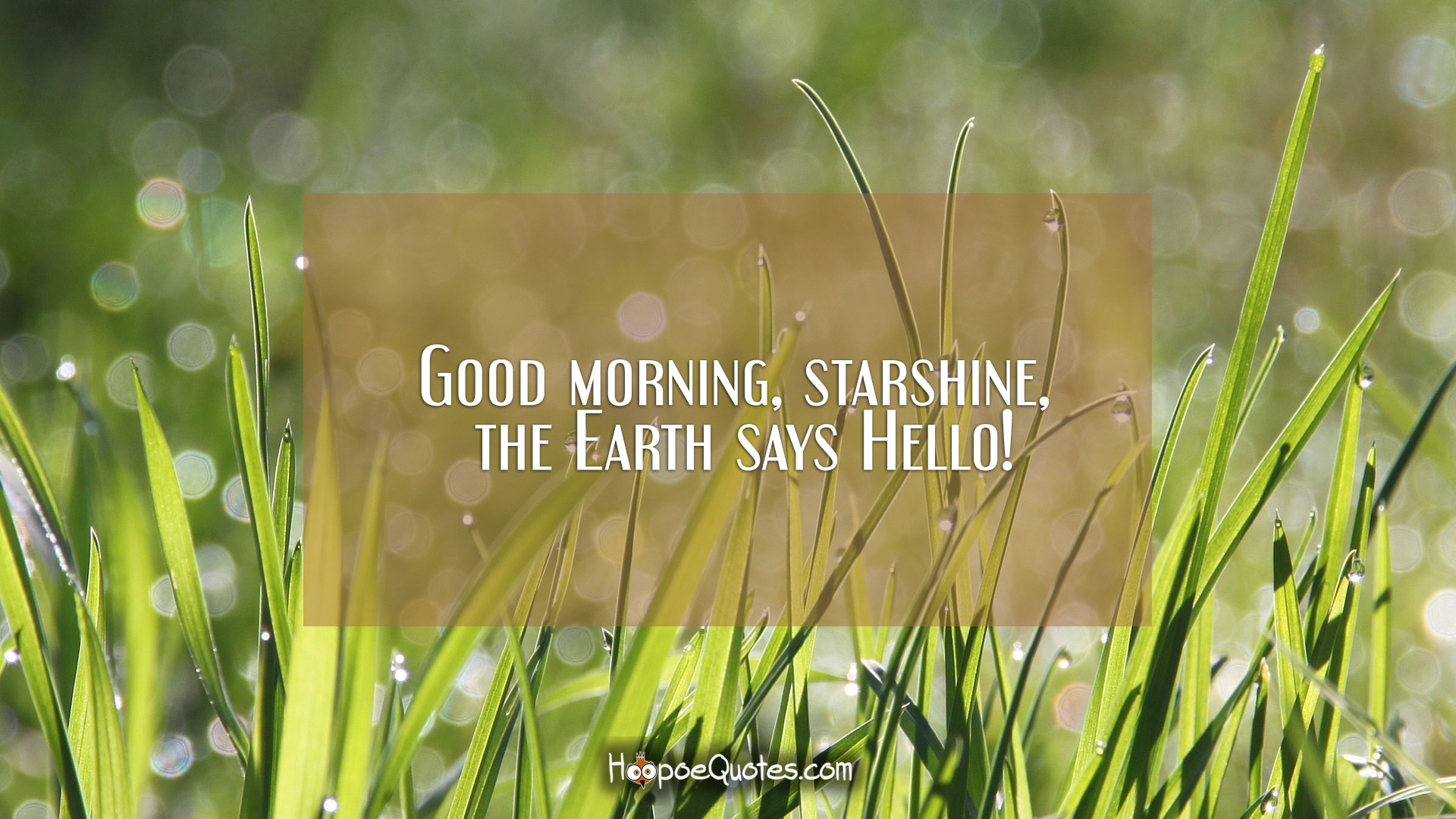 Good Morning, Starshine, The Earth Says Hello! - Hoopoequotes