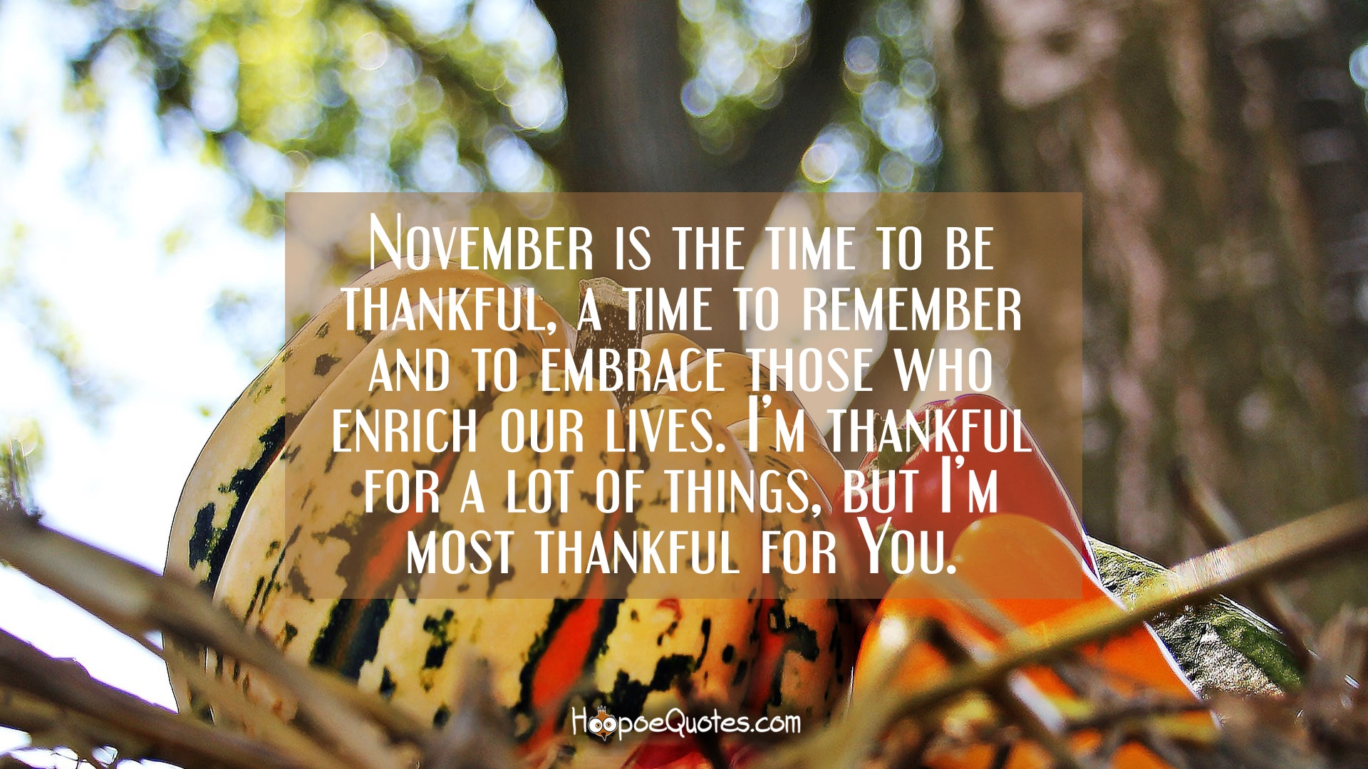 November is the time to be thankful, a time to remember ...